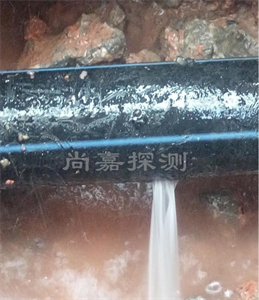 惠东消防管道漏点探测
